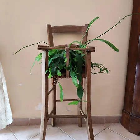 Vigna Renaro Royal